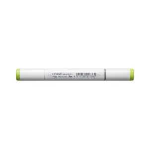 Sketch YG23 New Leaf
