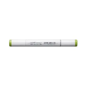 Sketch YG25 Celadon Green