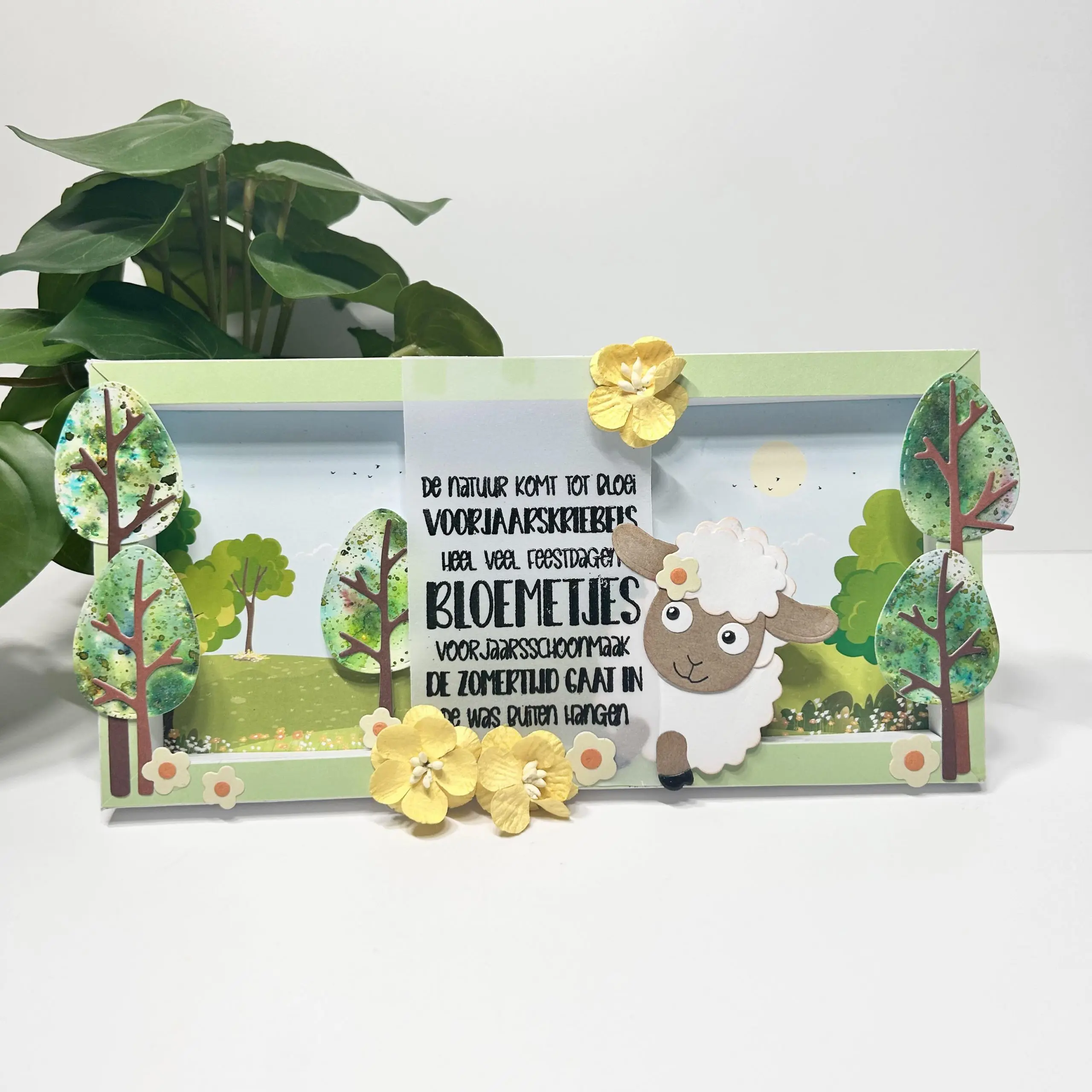 Stansmal shadowbox spring - Afbeelding 4