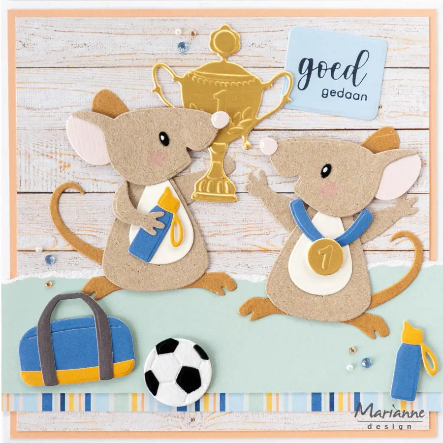 Collectables sport accessories - Afbeelding 2