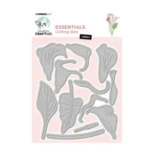 Stansmal calla’s