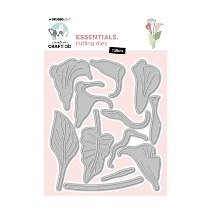 Stansmal calla's