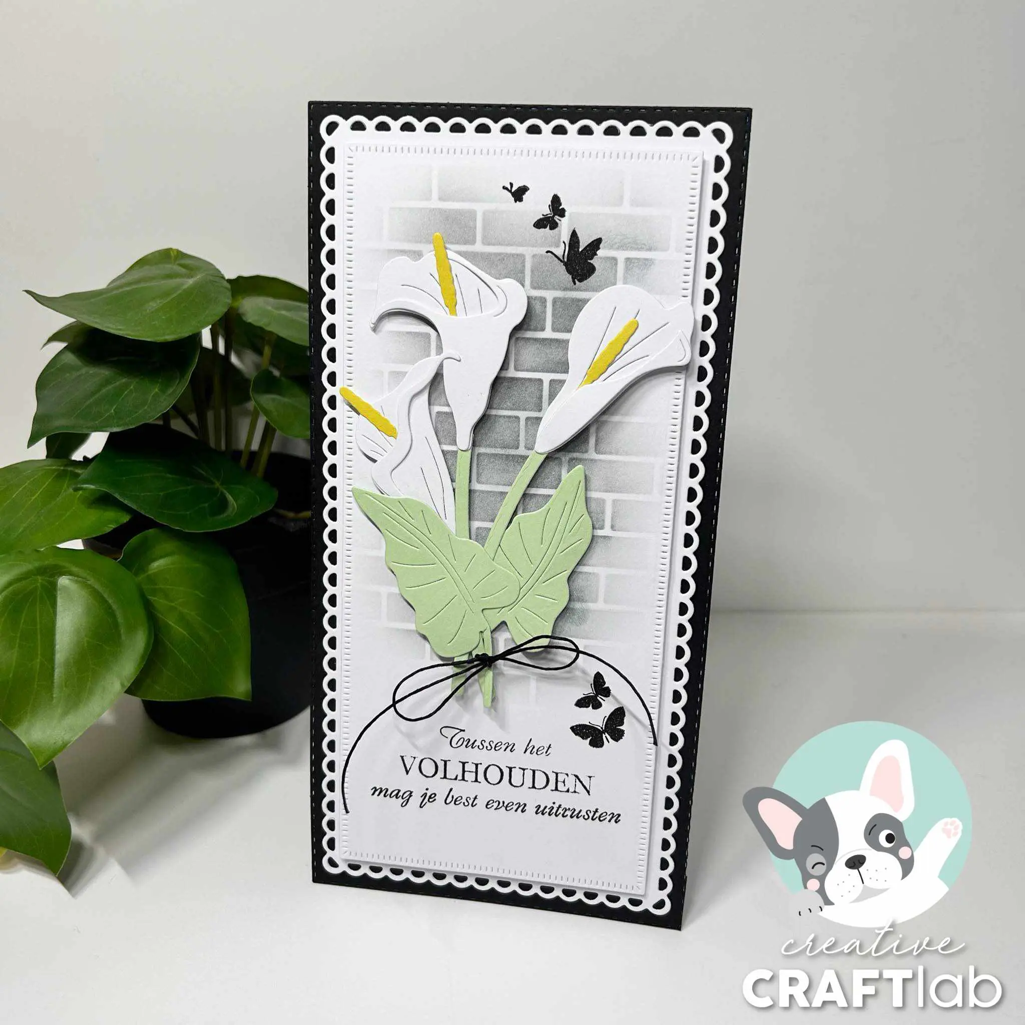 Stansmal calla's - Afbeelding 2