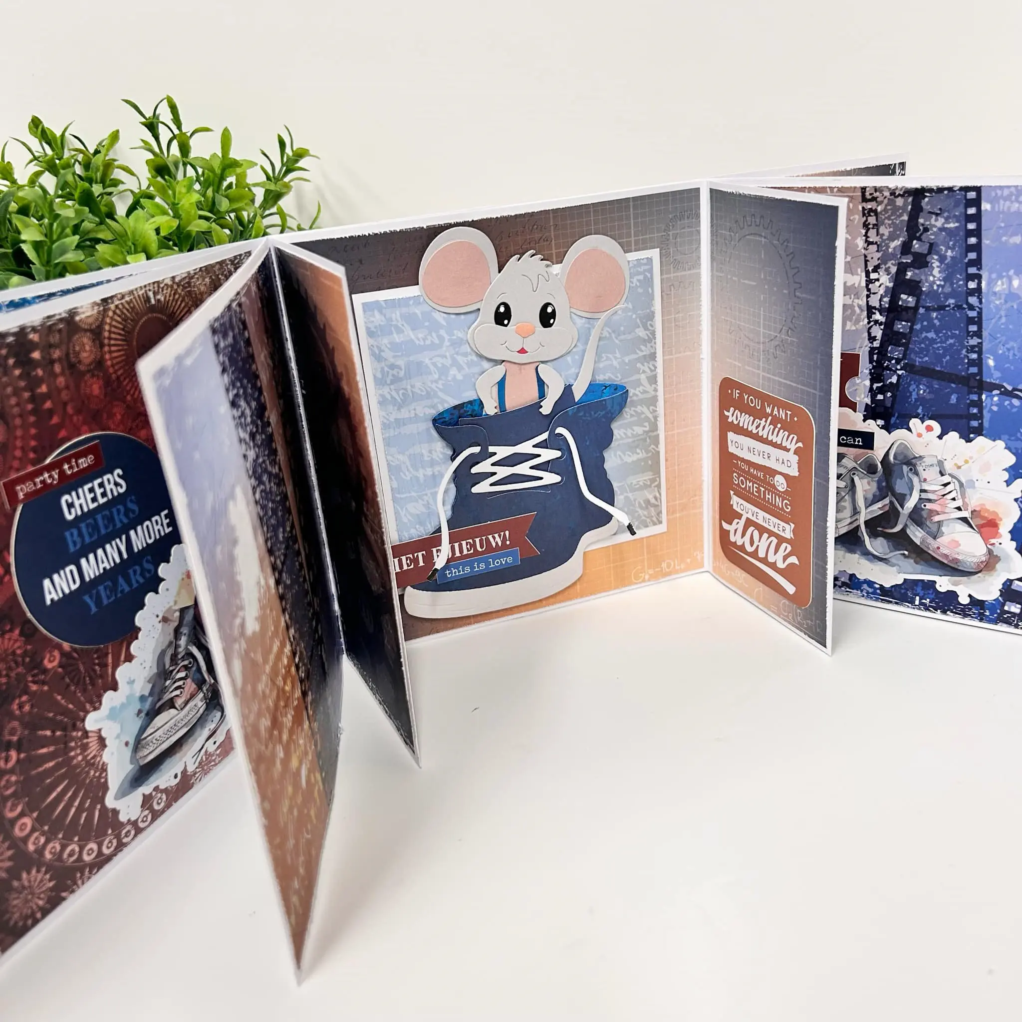 Leerzame les flip album - Afbeelding 3