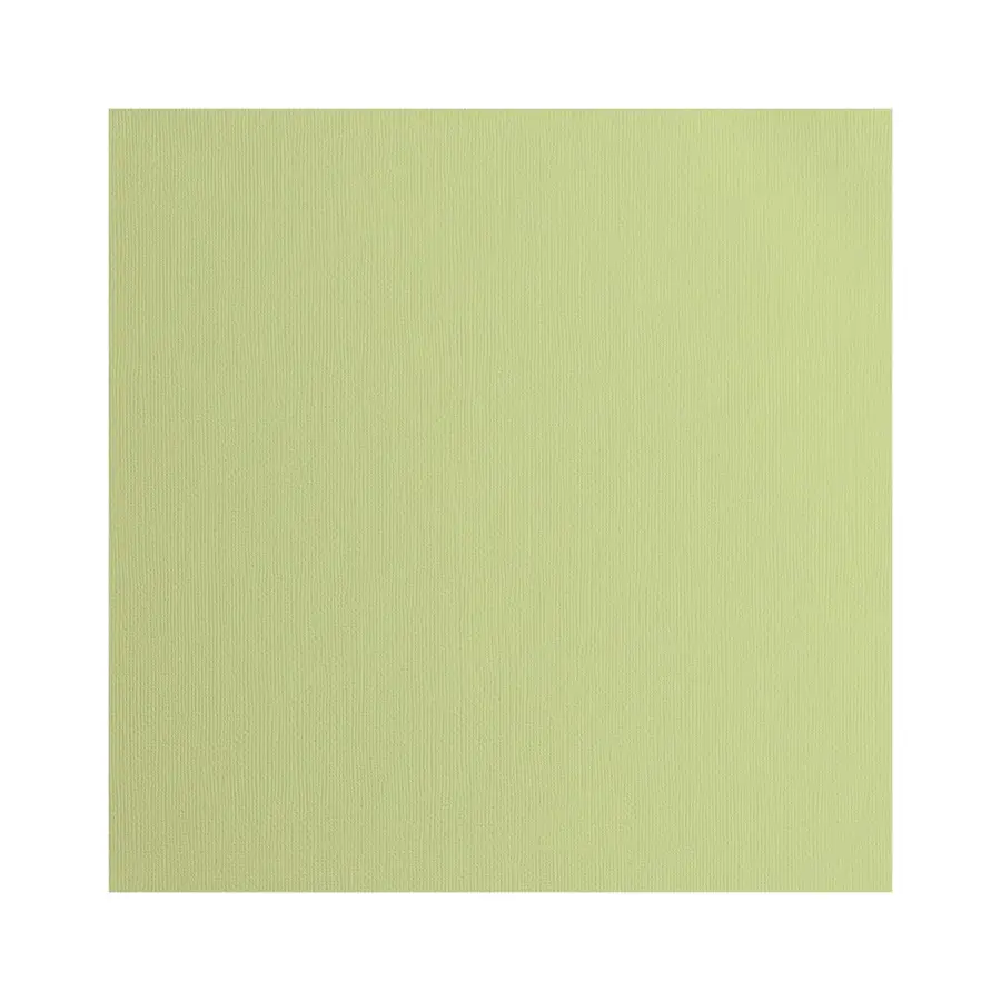 Cardstock textuur Anise