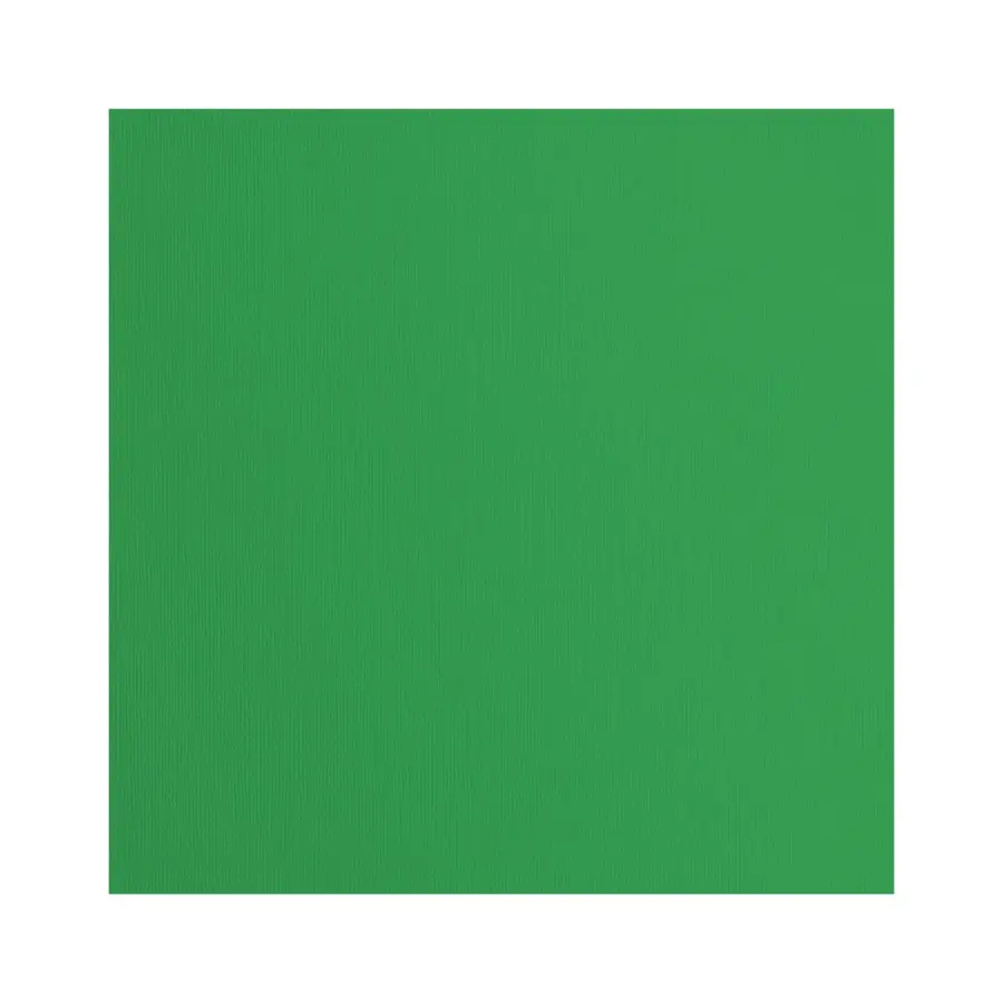 Cardstock textuur holly