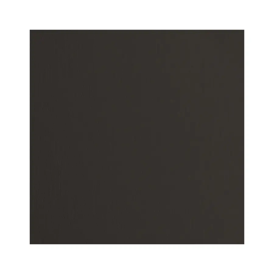 Cardstock textuur black