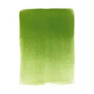 Yellow Green Shade
