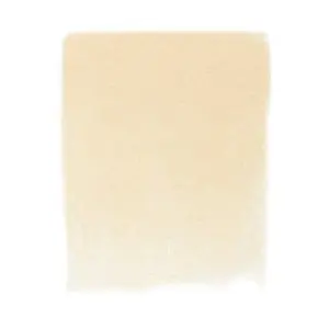 Raw Sienna Tint