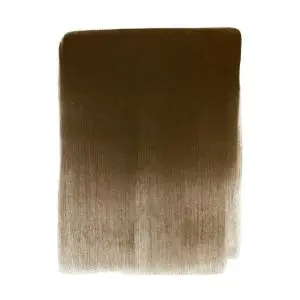 Burnt Umber Shade
