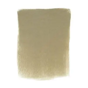 Raw Umber Tint