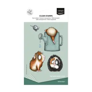 Stempel guinea pigs 4