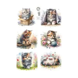 knipvel lovely cats