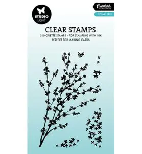 Stempel bloesem boom