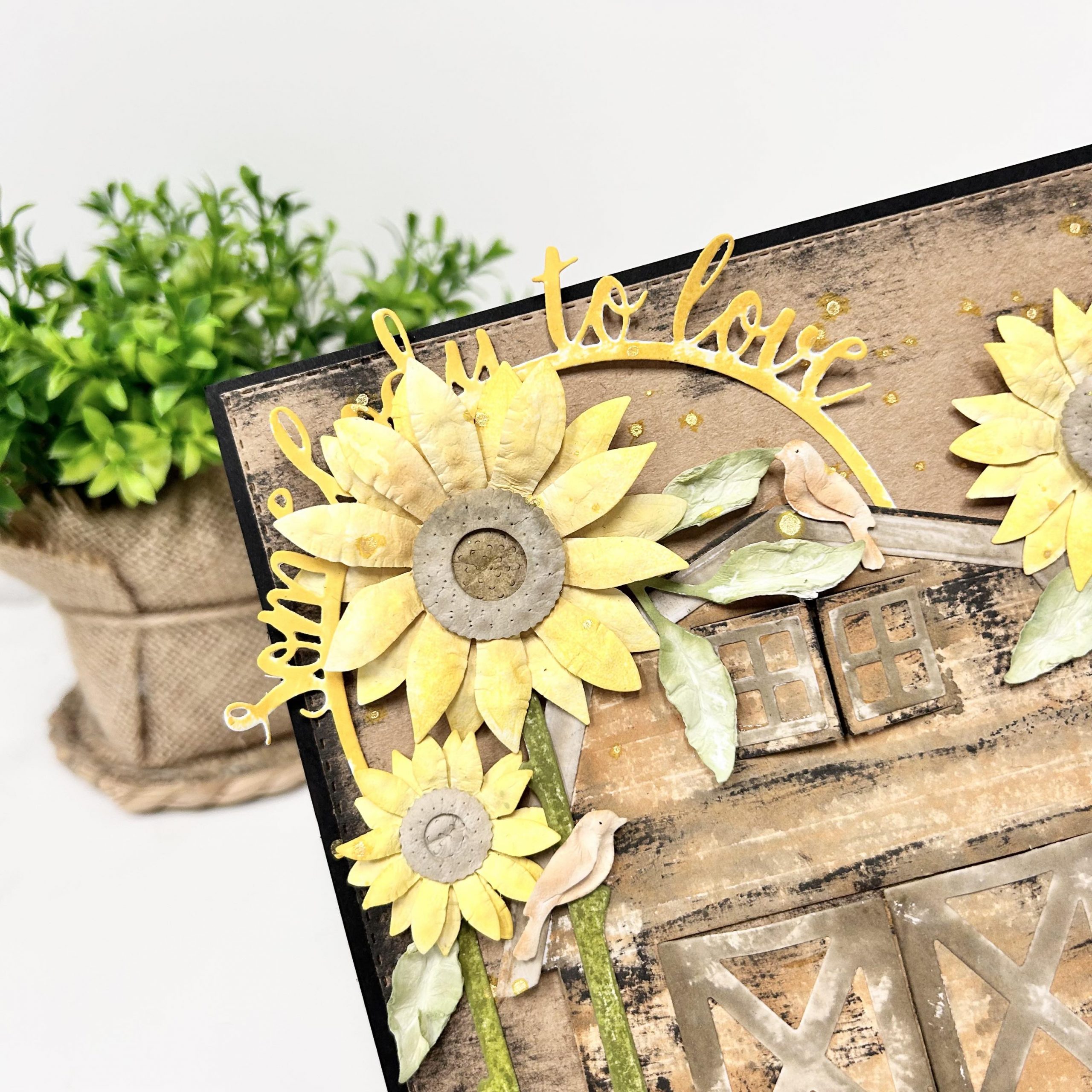 Sunflowers Noor Zo Hobby Webshop