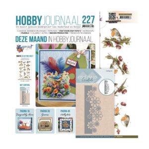 Hobbyjournaal 227 set