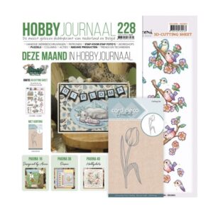 Hobbyjournaal 228 set