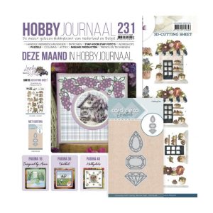 Hobbyjournaal 231 set
