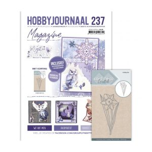 Hobbyjournaal magazine set 237