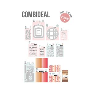 Combideal craftLab januari