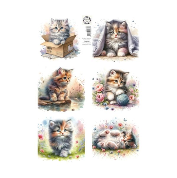 knipvel lovely cats