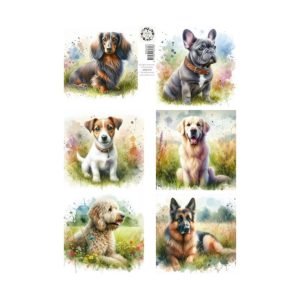 knipvel lovely dogs