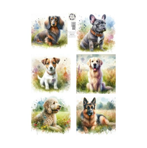 knipvel lovely dogs