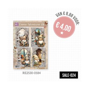 Sale-024 kaartenpakket gnome adventures 1