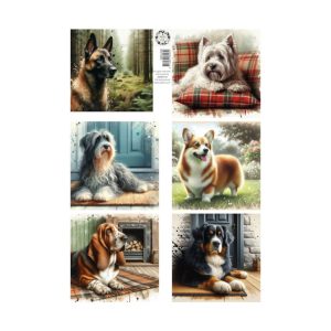 knipvel lovely dogs 2
