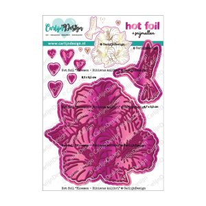 Hot foil hibiscus & kolibri