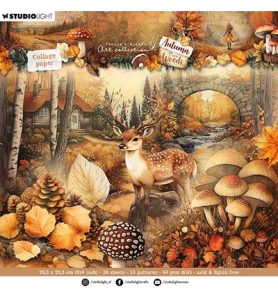 collegepapier autumn in the woods