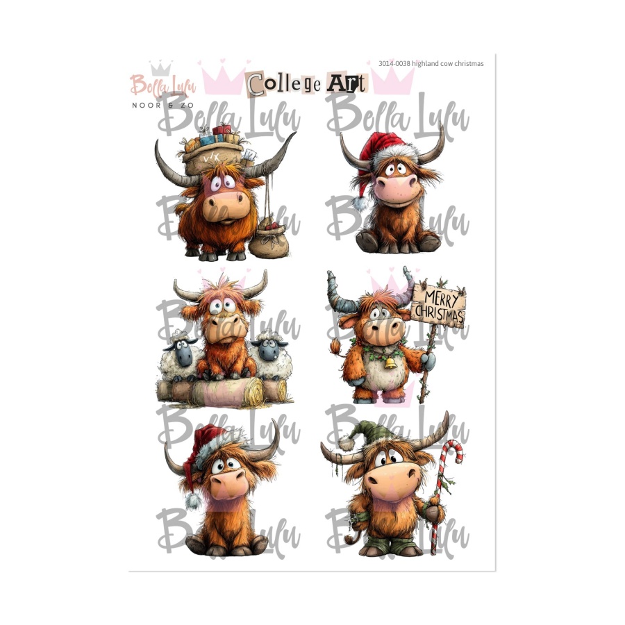 Knipvel Highland Cows