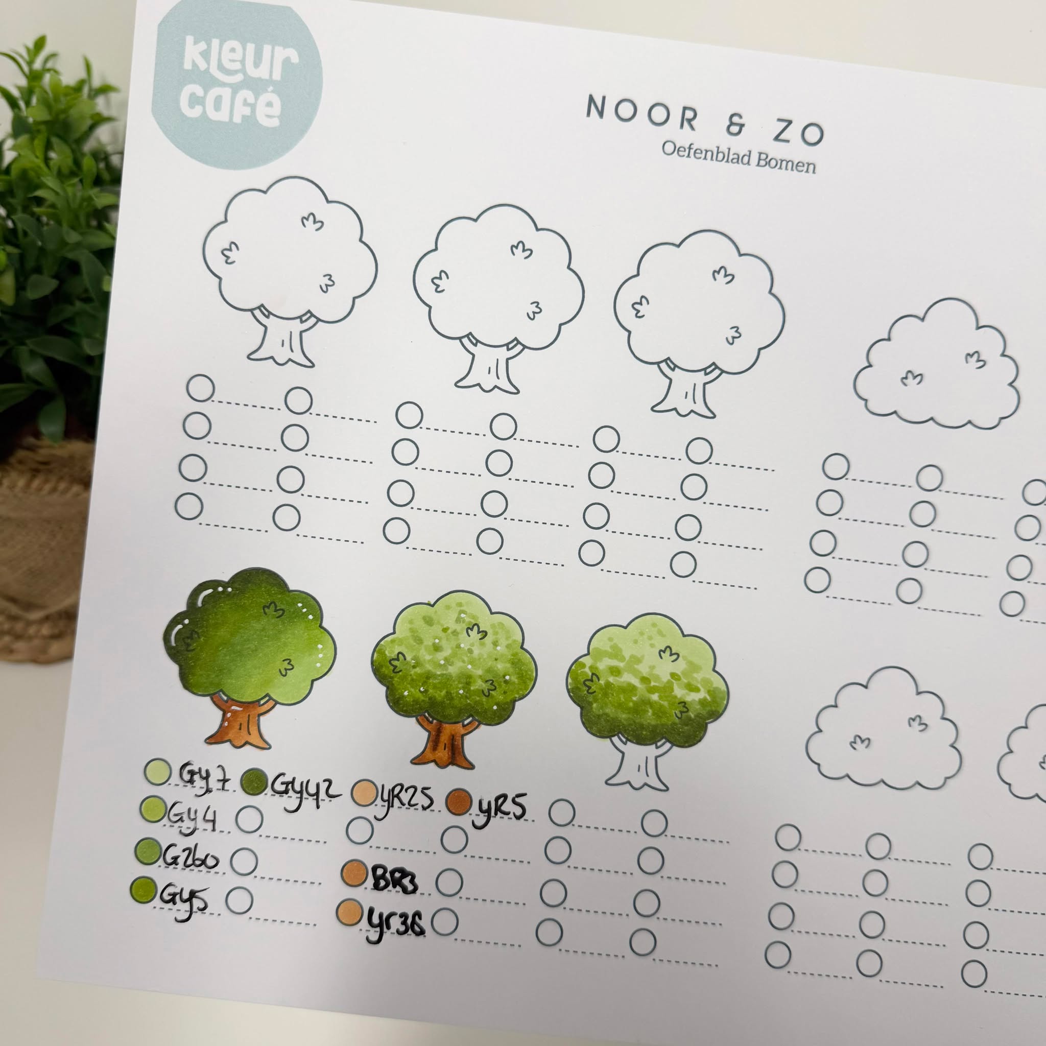 Leerzame les bomen kleuren met Ohuhu alcohol markers incl. oefenblad