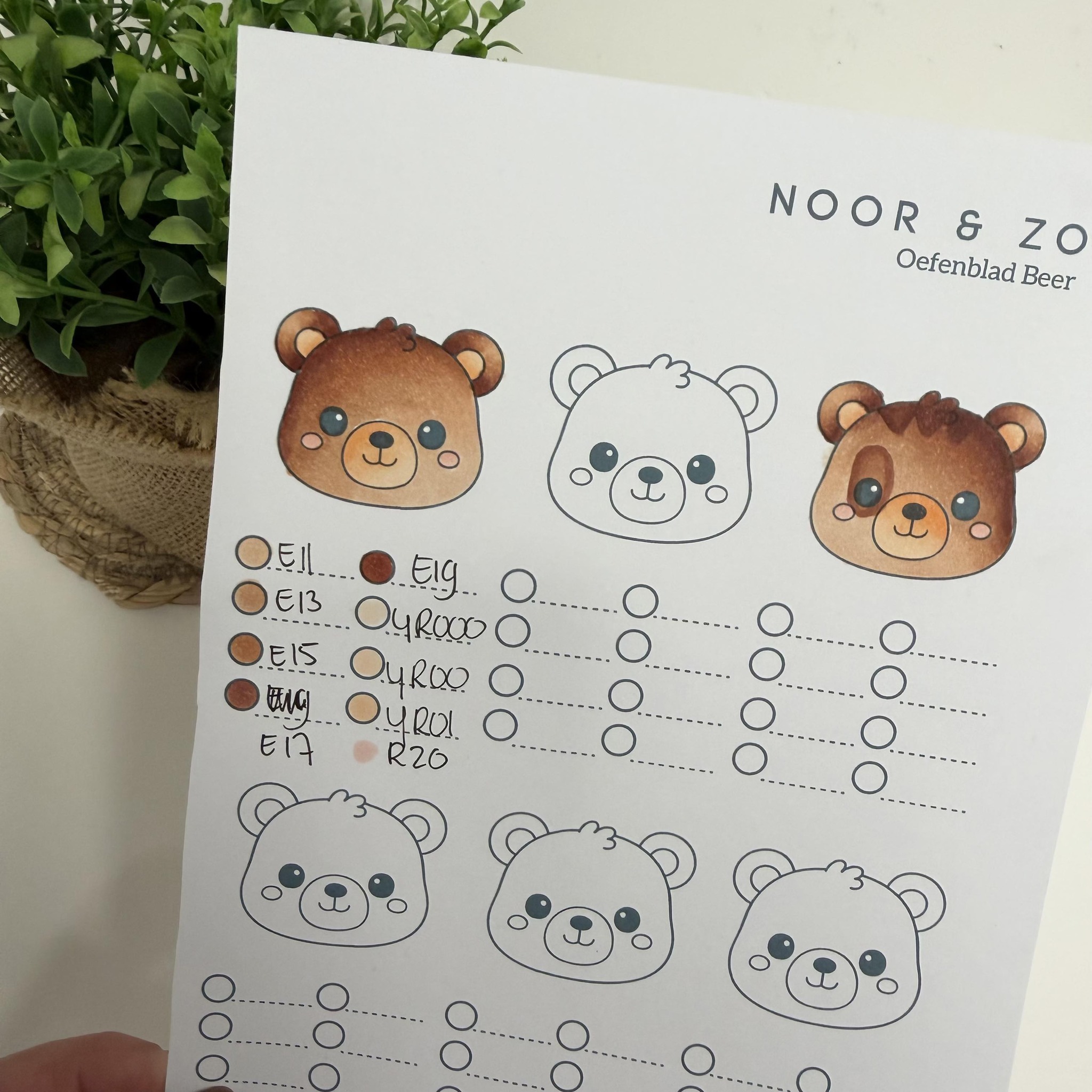 Leerzame les beren kleuren met alcohol markers incl. oefenblad