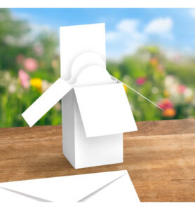 Pop up box kaart & envelop wit