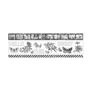 Tape set Field Notes