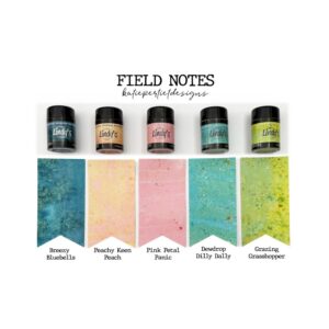 Magical shakers field notes