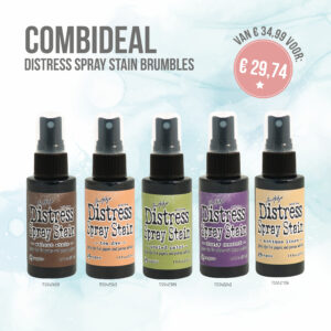 COMBIDEAL spray stain brambles