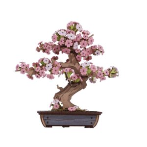 sakura bonsai